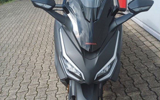 Gebrauchtmotorrad Honda Forza 125 - Bild 3