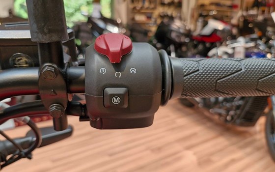 Neufahrzeug Royal Enfield Guerrilla 450 - Bild 10