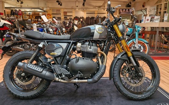 Neufahrzeug Royal Enfield Bear 650 - Bild 1