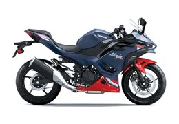 Neumotorrad Kawasaki Ninja 500 SE