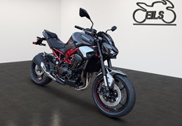 Neumotorrad Kawasaki Z900