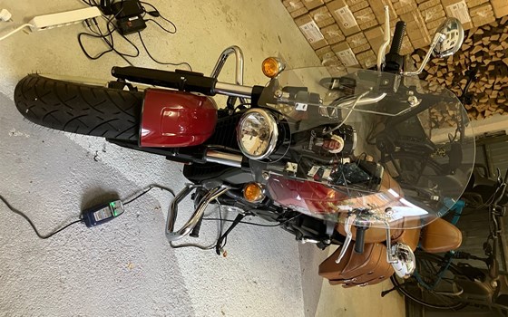 Gebrauchtmotorrad Indian 101 Scout - Bild 2 Gebrauchtmotorrad Indian 101 Scout - Bild 2