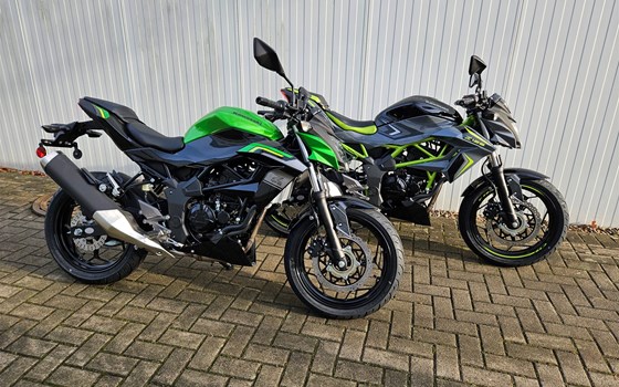 Neufahrzeug Kawasaki Z125 - Bild 7