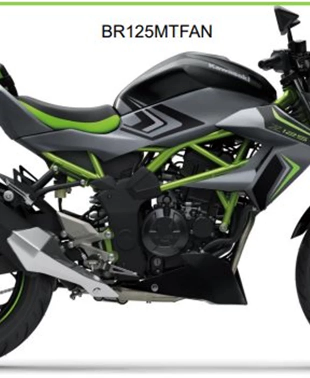 Kawasaki Z125<br />lieferbar! Modell 2026
