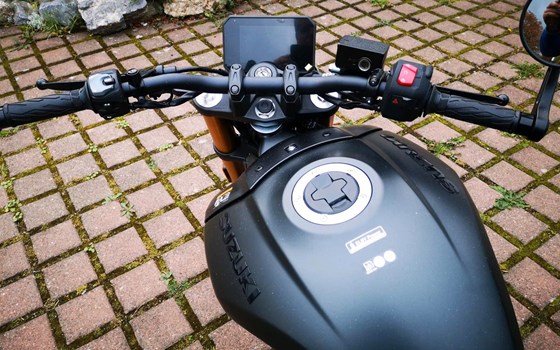 Neufahrzeug Suzuki GSX-8T - Bild 12