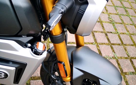 Neufahrzeug Suzuki GSX-8T - Bild 9