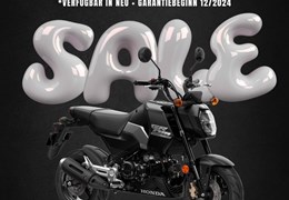 Neumotorrad Honda MSX125 Grom