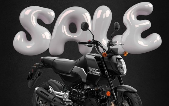 Neufahrzeug Honda MSX125 Grom - Bild 1