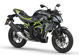 Neumotorrad Kawasaki Z125