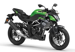 Neumotorrad Kawasaki Z125