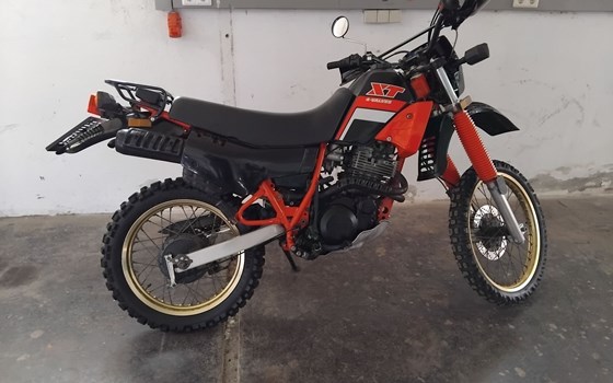 Gebrauchtmotorrad Yamaha XT 500 N - Bild 14 Gebrauchtmotorrad Yamaha XT 500 N - Bild 14