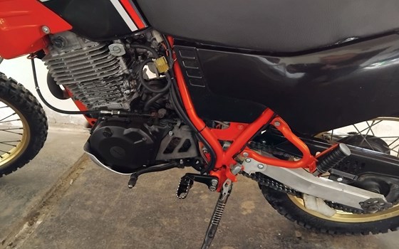 Gebrauchtmotorrad Yamaha XT 500 N - Bild 9