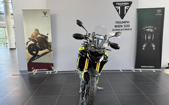 Neufahrzeug Triumph Tiger 900 Rally Pro - Bild 3 Neufahrzeug Triumph Tiger 900 Rally Pro - Bild 3