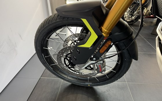 Neufahrzeug Triumph Tiger 900 Rally Pro - Bild 5