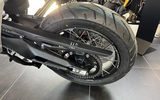 Neufahrzeug Triumph Tiger 900 Rally Pro - Bild 6
