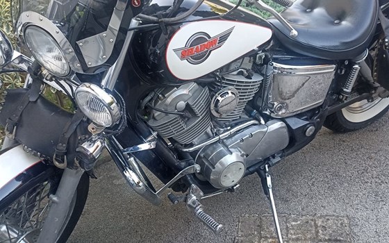 Gebrauchtmotorrad Honda VT1100ACE Shadow - Bild 3 Gebrauchtmotorrad Honda VT1100ACE Shadow - Bild 3