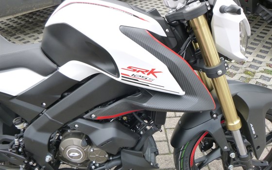 Neufahrzeug QJ Motor SRK 125 S - Bild 2