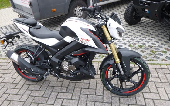 Neufahrzeug QJ Motor SRK 125 S - Bild 4