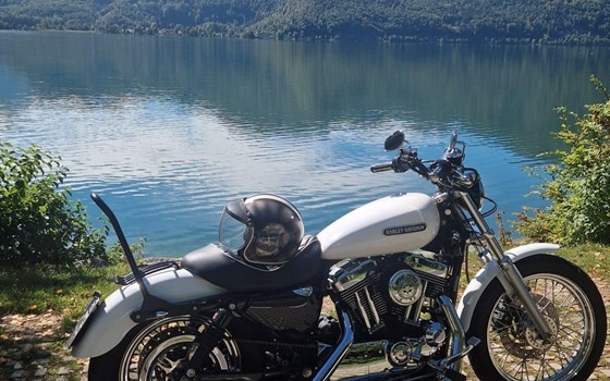 Gebrauchtmotorrad Harley-Davidson Sportster XL 1200 L Low - Bild 1