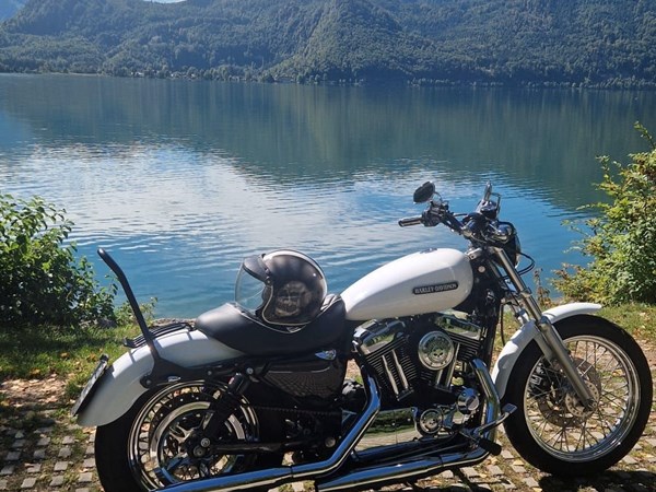 Gebrauchtmotorrad Harley-Davidson Sportster XL 1200 L Low