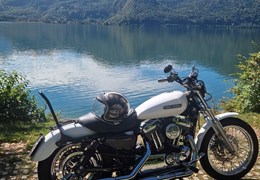 Gebrauchte Harley-Davidson Sportster XL 1200 L Low