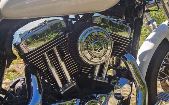 Gebrauchtmotorrad Harley-Davidson Sportster XL 1200 L Low - Bild 3