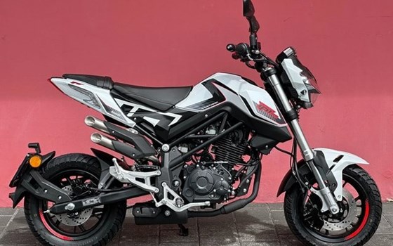 Neufahrzeug Benelli TnT 125 - Bild 3