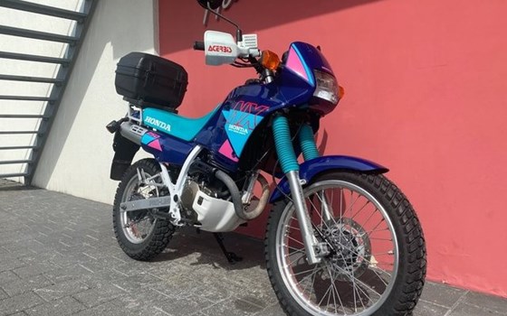 Motorrad Occasion Honda NX 250 Dominator - Bild 11