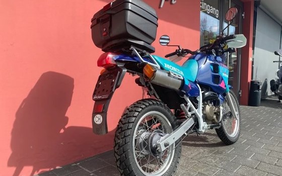 Motorrad Occasion Honda NX 250 Dominator - Bild 2