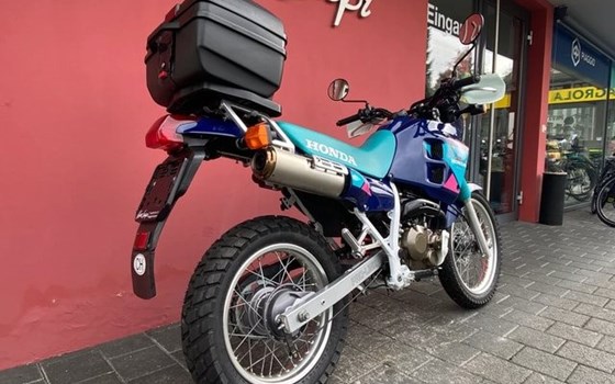 Motorrad Occasion Honda NX 250 Dominator - Bild 3