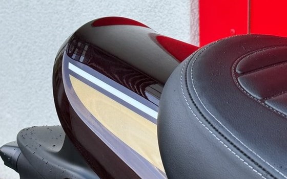 Neufahrzeug Kawasaki Z900 RS - Bild 6