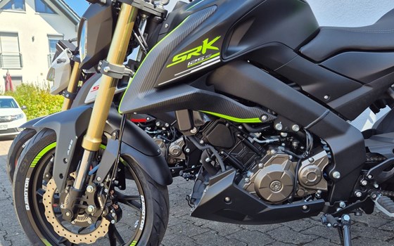 Neufahrzeug QJ Motor SRK 125 S - Bild 7