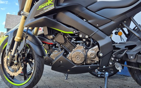 Neufahrzeug QJ Motor SRK 125 S - Bild 8