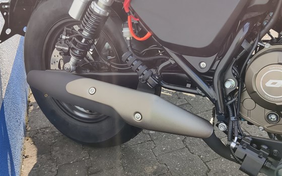 Neufahrzeug QJ Motor SRV 125 - Bild 16