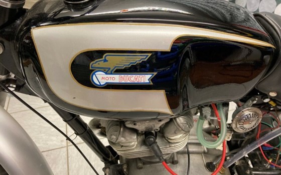 Gebrauchtmotorrad Ducati 250 Scrambler - Bild 2