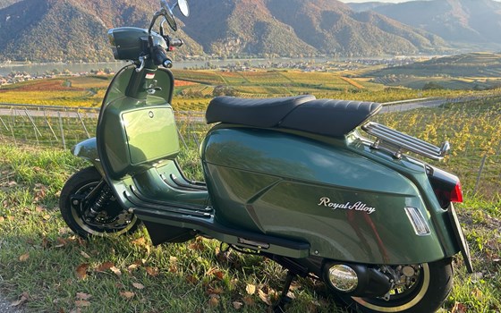 Gebrauchtmotorrad Royal Alloy GP 300 LC ABS - Bild 2