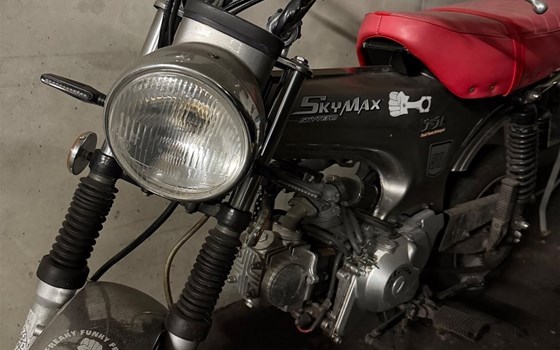 Gebrauchtmotorrad Skyteam DAX50 - Bild 9 Gebrauchtmotorrad Skyteam DAX50 - Bild 9