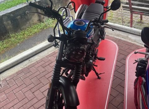 Neufahrzeug Honda CL500 - Bild 2