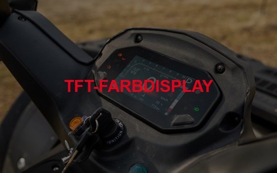 Neufahrzeug TGB Blade 560 EPS ABS - Bild 4