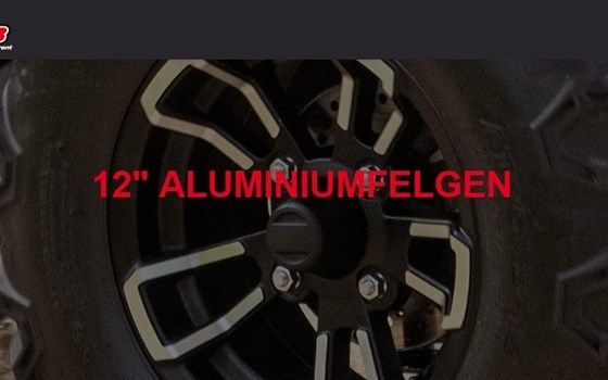 Neufahrzeug TGB Blade 560 EPS ABS - Bild 5