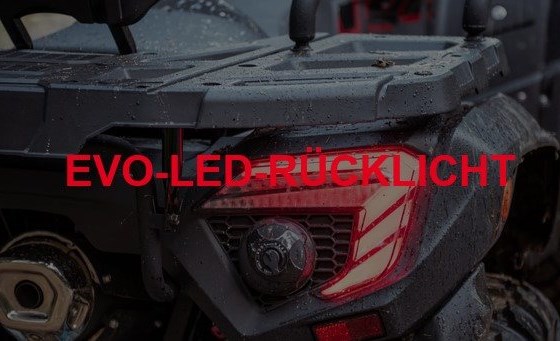 Neufahrzeug TGB Blade 560 EPS ABS - Bild 6