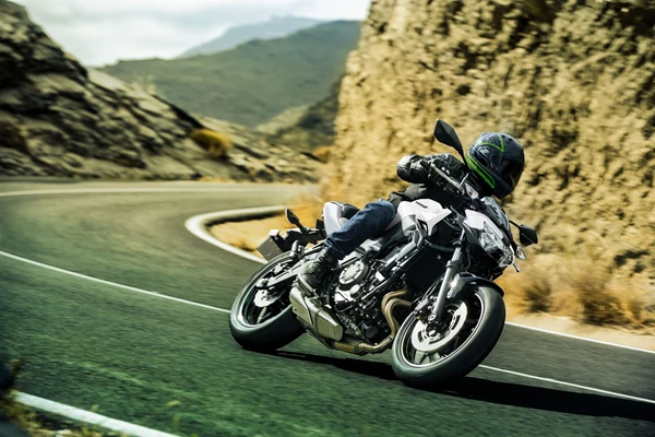 Kawasaki Z650 (WT1 Weiß) - Bild 6