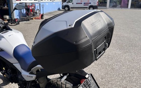 Neufahrzeug Honda XL750 Transalp - Bild 5