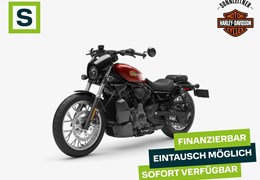 Neumotorrad Harley-Davidson Nightster Special