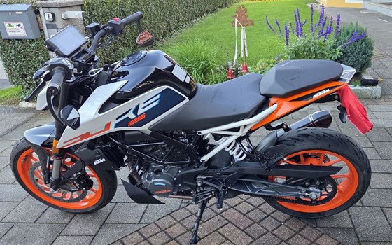 Gebrauchtmotorrad KTM 125 Duke - Bild 8 Gebrauchtmotorrad KTM 125 Duke - Bild 8