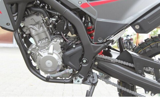 Neufahrzeug Honda CRF300L - Bild 10