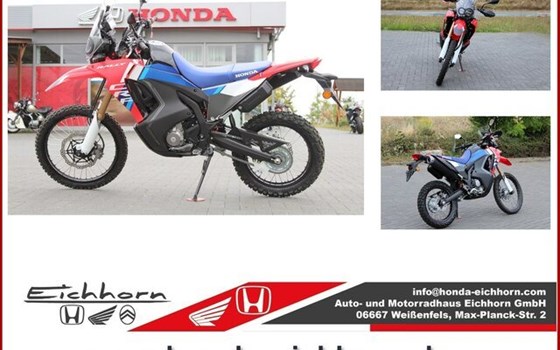 Neufahrzeug Honda CRF300 Rally - Bild 1