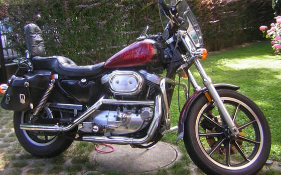 Gebrauchtmotorrad Harley-Davidson Sportster XL 1200 - Bild 1