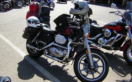 Gebrauchtmotorrad Harley-Davidson Sportster XL 1200 - Bild 3