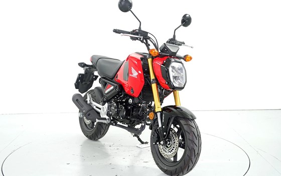 Motorrad Occasion Honda MSX 125 - Bild 2